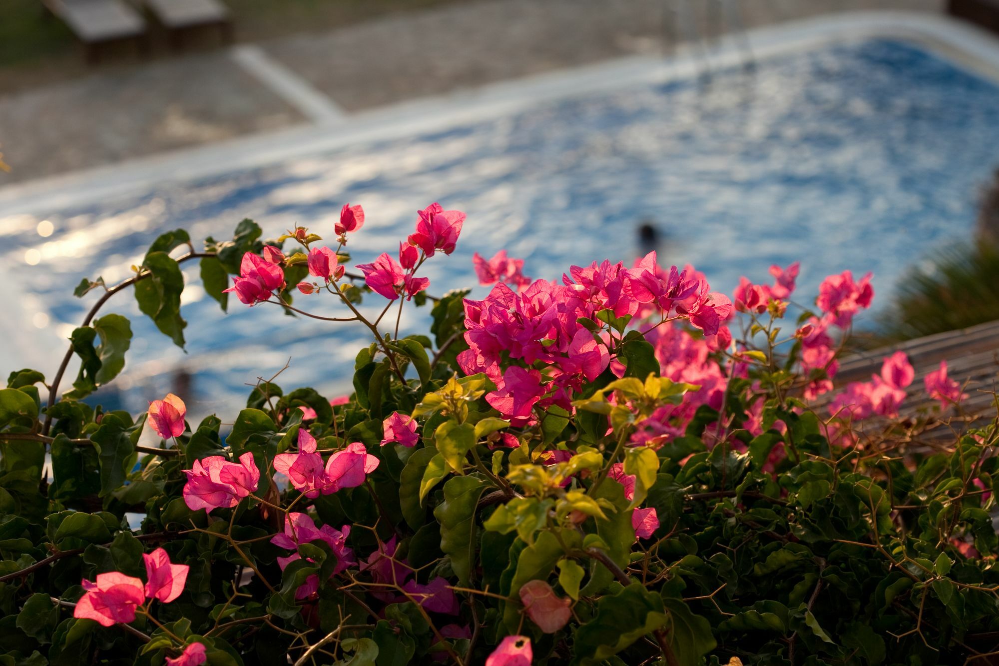 Agia Anna  Antonina Hotel المظهر الخارجي الصورة